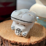 Zuni Smiling Chameleon Fetish with Lightning Storm Symbol