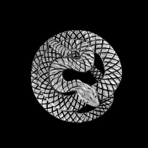Coiled Snake Brooch