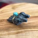 Zuni Fetish • Handcarved Raven Fetish • Sunface Fetish •