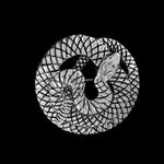 Coiled Snake Brooch