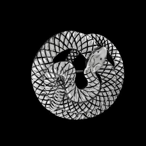 Coiled Snake Brooch