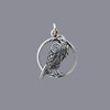 Sterling Silver Raven and Moon Pendant – Mystical Wiccan Charm