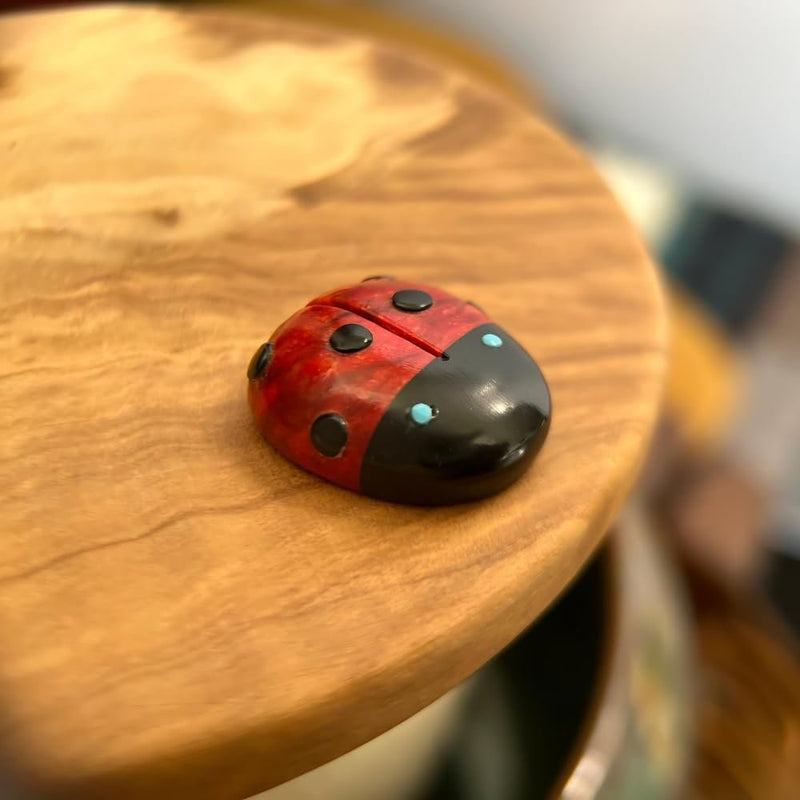 Zuni Fetish • Handcarved Ladybug Fetish • Good Fortune Fetish • Lucky