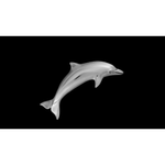 Dolphin Brooch - Mainland Silver