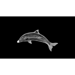 Dolphin Brooch - Mainland Silver