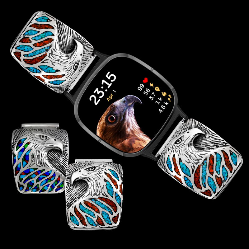 Proud Bald Eagle Watch