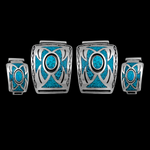 Southwestern Watch